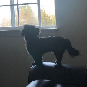 Meet your Posher, Karla